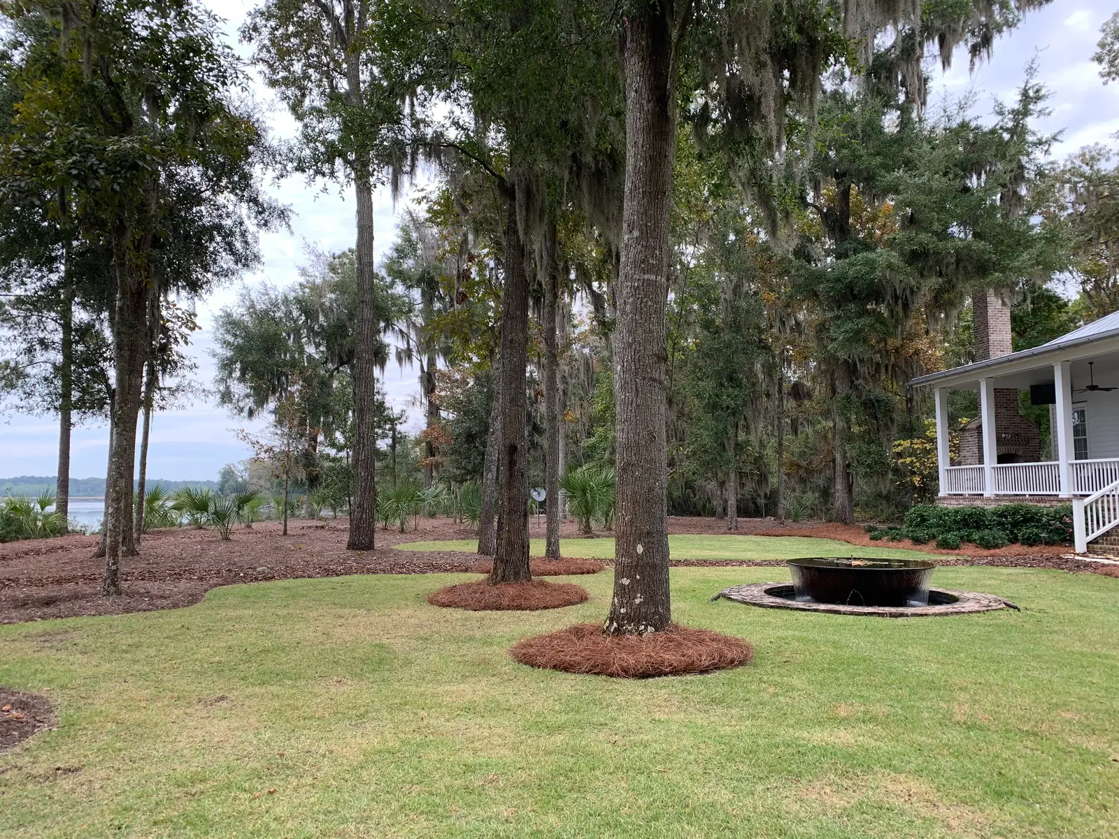 A professionally finished landscape bed with fresh pinestraw